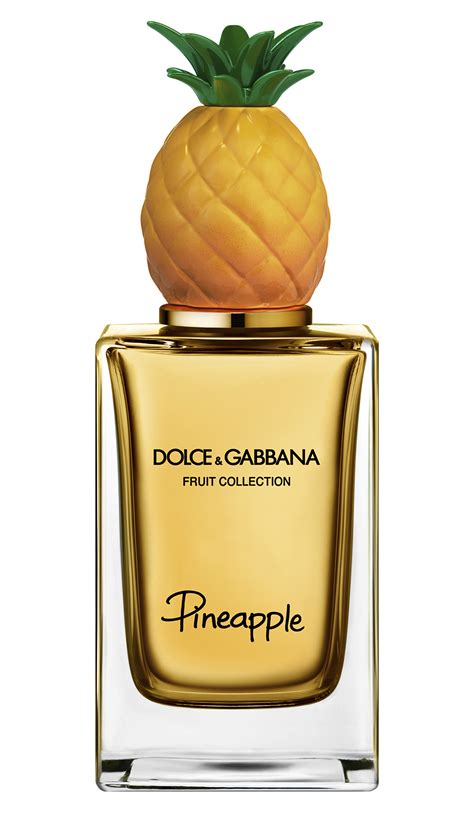 fragrance dolce gabbana|dolce and gabbana unisex perfume.